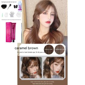 Ammonia-free Hair Color Paste Monochrome Paste Cover White Hair Multi-segment Color One-step Black Tea Gray Blue Black Hair Dye (Option: 7ro4 Caramel Pink Brown-With tools)