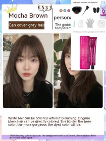 Ammonia-free Hair Color Paste Monochrome Paste Cover White Hair Multi-segment Color One-step Black Tea Gray Blue Black Hair Dye (Option: C5ro33 Caramel Mocha-With tools)