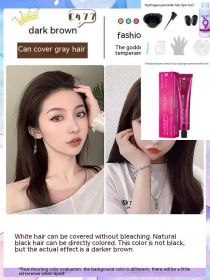 Ammonia-free Hair Color Paste Monochrome Paste Cover White Hair Multi-segment Color One-step Black Tea Gray Blue Black Hair Dye (Option: C4ro77 Dark Brown-With tools)