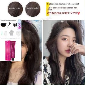 Ammonia-free Hair Color Paste Monochrome Paste Cover White Hair Multi-segment Color One-step Black Tea Gray Blue Black Hair Dye (Option: 4ro77 Dark Brown-With tools)