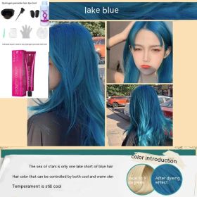 Ammonia-free Hair Color Paste Monochrome Paste Cover White Hair Multi-segment Color One-step Black Tea Gray Blue Black Hair Dye (Option: WG28 Lake Blue-With tools)